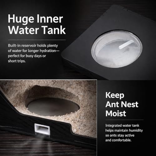 Strata Series - DualView M Ant Nest with Starter kit - size: DualView M