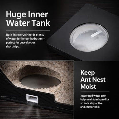 Strata Series - DualView M Ant Nest with Starter kit - size: DualView M