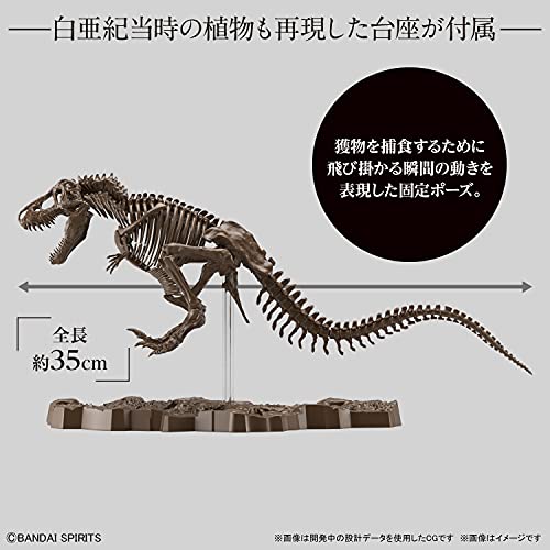 Bandai Hobby - Imaginary Skeleton - 1/32 Imaginary Skeleton Tyrannosaurus, Small