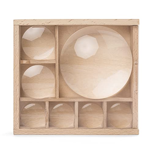 Kikkerland Huckleberry My Little Museum Bug Box Collection, Observation Bug House, 7 Compartments, in-Built Magnifying Lenses, for Insect Collecting