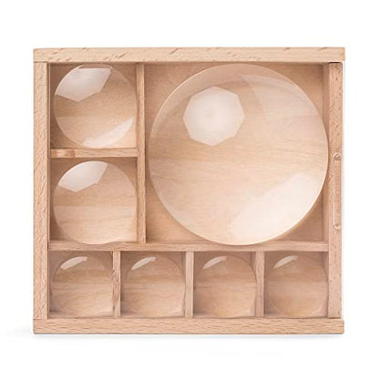 Kikkerland Huckleberry My Little Museum Bug Box Collection, Observation Bug House, 7 Compartments, in-Built Magnifying Lenses, for Insect Collecting