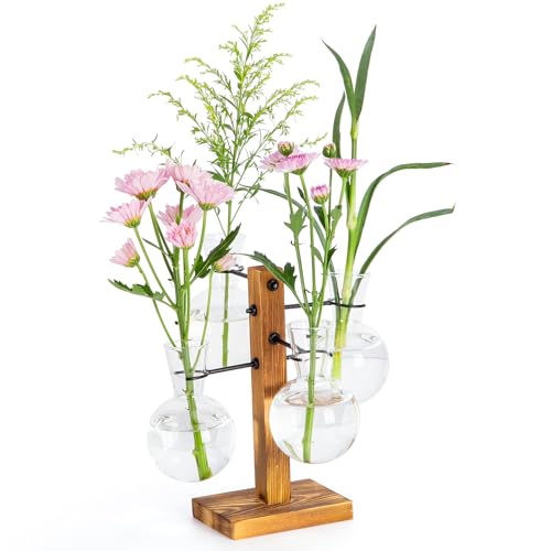 Plant Propagation Station with Wood Stand - 4 Bulb Glass Vases - size: Small