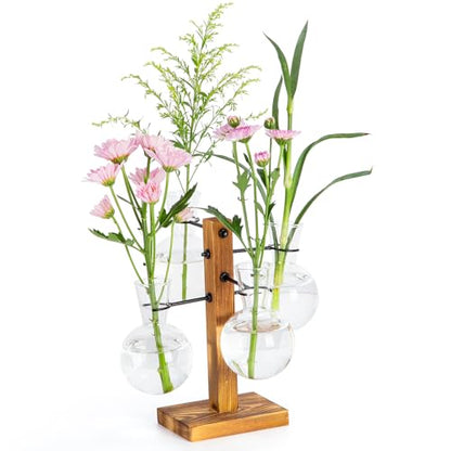 Plant Propagation Station with Wood Stand - 4 Bulb Glass Vases - size: Small