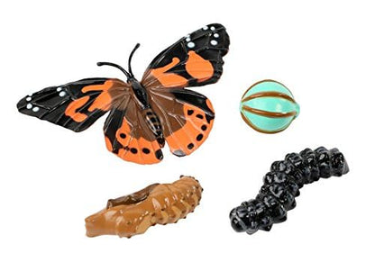 Insect Lore Two Cups of Live Caterpillars - 10 Live Painted Lady Caterpillars with Food - Includes Bonus Butterfly Life Cycle Figurines - Refill for Butterfly Garden Habitat