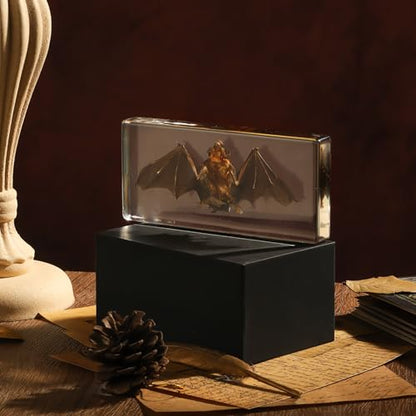 Taxidermy Bat, Real Bat Specimens Animal Specimen in Resin for Science Classroom Science Education, Great Gift for Fans of Taxidermy, Animal Skull, Oddities, Biology(5.5x2.5x0.7 Inch) - color: Taxidermy Bat (5.5x2.5x0.7 inch)