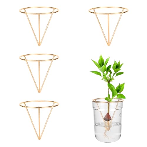 4 Pcs Golden Avocado Seed Starter Rack for Mason Jar of Wide-Mouth - color: Gold