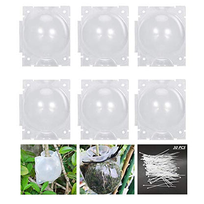 Air Layering pods, Reusable Plant Rooting Device Plant Rooting Grow Box High Pressure Propagation Ball Grafting Device Botany Root Controller Garden Plant Rooter Box (2″×6PCS), Transparent - color: Transparent, size: Small（2″×6PCS）