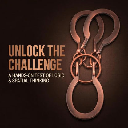 Puzzle Ring Brain Teaser Puzzles - Metal Horseshoe Cast Puzzle Game Unlock Interlock Puzzles Box Mind IQ Logic Test Disentanglement Games for Adults Office Supplies