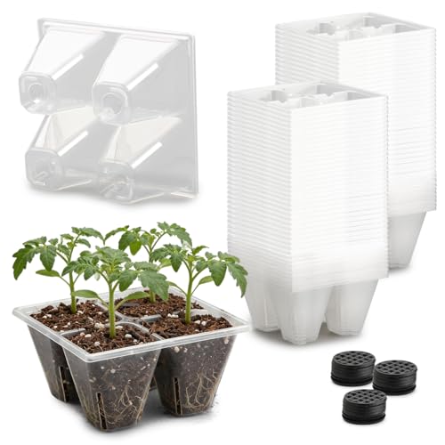 RooTrimmer 80 Pack Reusable 4-Cell Clear Seed Starter Trays - Extra Large Drainage Holes, Easy Transplant, Clear Transparent Tray for Root Observation, Seed Starting, Fits Standard 1020 Flats - color: Clear, size: 4 Cells-80P