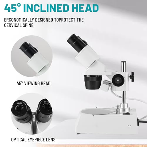 Stereo Microscope，Binocular Microscope, WF10x and WF20x Eyepieces, 10X-80X Magnification, Upper and Lower LED Light Source, Pillar Stand,120V Power Supply and Lithium Battery