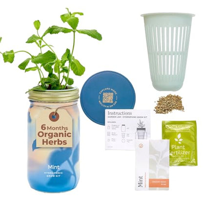 Modern Sprout Mason Garden Jar - Self-Watering Hydroponics Kit - Mint - color: Mint, size: Garden Jars