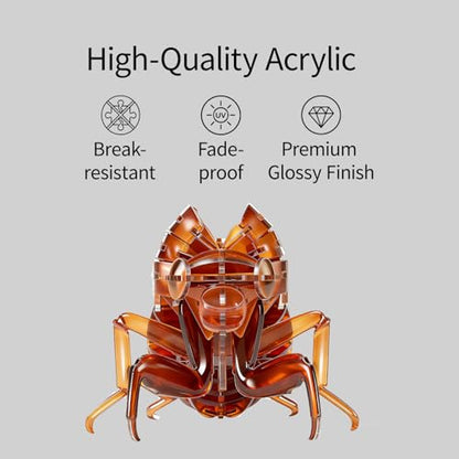 3D Acrylic Insect Puzzle DIY Bug Model Kit Animal STEM Gift - color: Cicada Exuviae