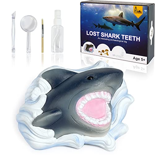 Shark Tooth Dig Kit, Shark Tooth Excavation Fossil, Shark Science Toy Gift for Kids Age 5+ for Holiday Birthday