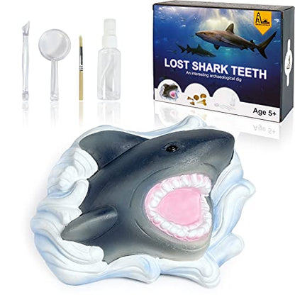 Shark Tooth Dig Kit, Shark Tooth Excavation Fossil, Shark Science Toy Gift for Kids Age 5+ for Holiday Birthday