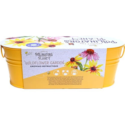 Buzzy Seeds Coneflower & Black-Eyed Susan Grow Kit, Metal Planter