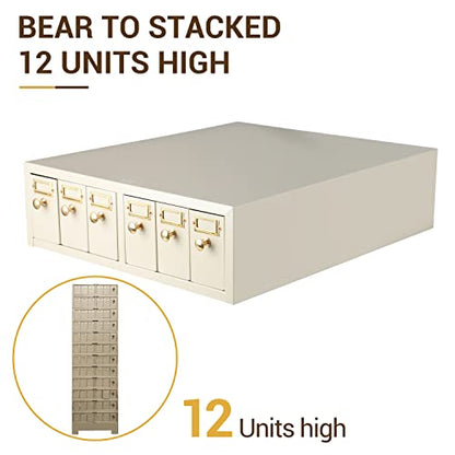 4E's USA Slide Storage Cabinet - Modular Slide Storage with 6 Drawers Hold Up to 5,000 Slides Lab Storage Cabinet for Microscope Slides, Compatible with Similar Cabinets Already in Use