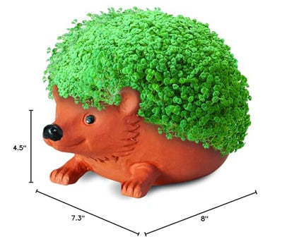 Chia Pet Hedgehog with Seed Pack, Decorative Pottery Planter, Easy to Do and Fun to Grow, Novelty Gift, Perfect for Any Occasion, Terra Cotta - style: Hedgehog