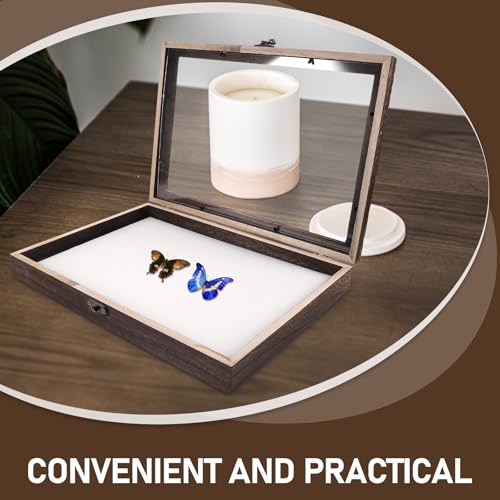 Cabilock Insect Display Case Clear Top Specimen Storage Box with Mat 12.20X8.66X1.85in Bug Collection Box for Butterfly Collections Desktop Display and Small Item Storage
