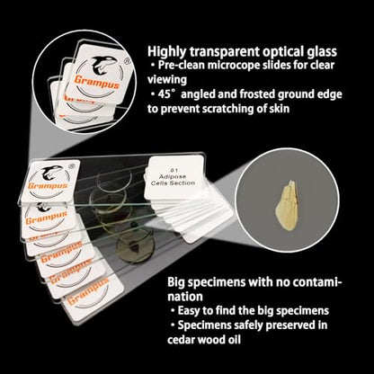 30 Prepared Microscope Slides with Specimens for Kids Students - Histology, for Biological Science Lab, Children's Science Education, Homeschooling Use - style: 30PCS Histology