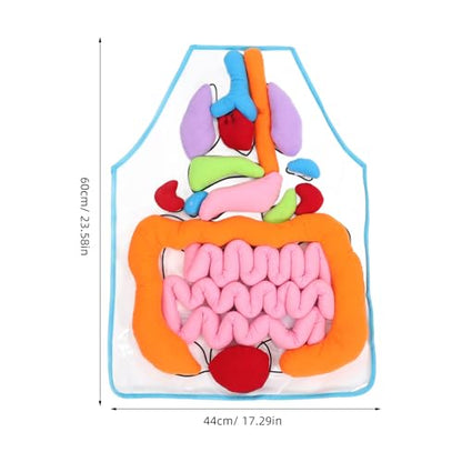 POPETPOP Human Organs Apron 3D Anatomy Teaching Apron for Kids Educational Learning Tool with Removable Plush Organs Preschool and Kindergarten Science Kit