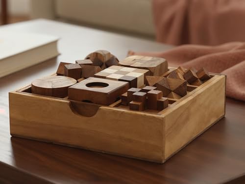 BSIRI 9 in 1 Wooden Brain Teaser Puzzles for Adults Teens Box Set Wood Hard Level 10 Impossible Mind Wood Brain Teaser Games 3D Hand Puzzle Sets for Decoration and Mini Toys - style: 9 Puzzle Set