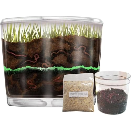 Worm Farm for Kids with 20 Live Worms and Food, All-in-One Ecosystem Bundle - style: Farm+Live Worms+Food