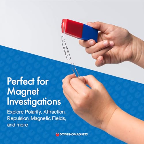 Dowling Magnets - 712 North/South Bar Magnets (3.13 inches Long x 1 inch Wide x .38 inch Thick), Set of 2