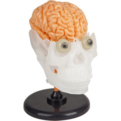 SMARTLAB Toys Totally Squishy from Head-to-Toe - 60 Pieces - 36 Removable Parts - 12" Human Body Model & Stand - 24-Page Illustrated Book - Includes Glowing Eyeballs!