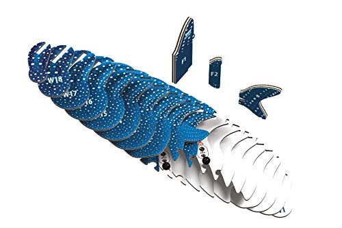 EUGY 3D Whale Shark Model - style: Whale Shark