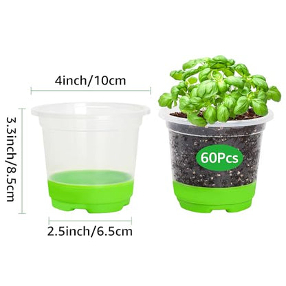 MIXC Clear Nursery Pots with Silicone Base, 4-Inch, 60-Pack - color: Green, size: 4 Inch-60Pcs