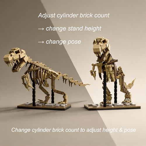 T-Rex Skeleton Building Set Model Poseable Joints 316Pcs Office Display