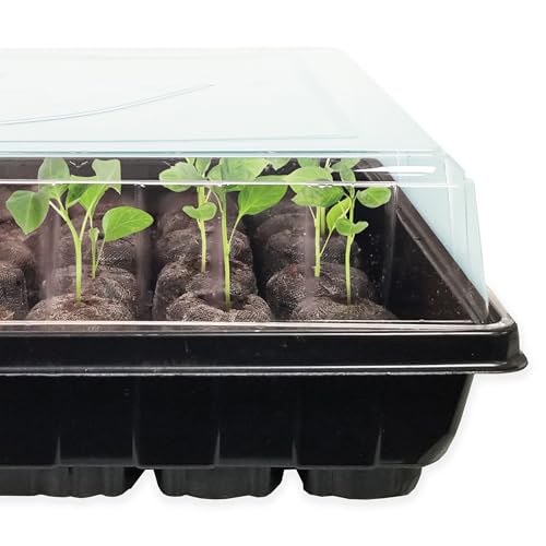 Jiffy 50-Cell Seed Starter Tray Kit with 42mm Peat Pellets, 2-Pack