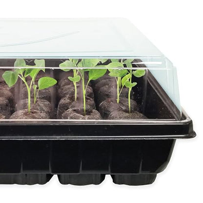 Jiffy 50-Cell Seed Starter Tray Kit with 42mm Peat Pellets, 2-Pack