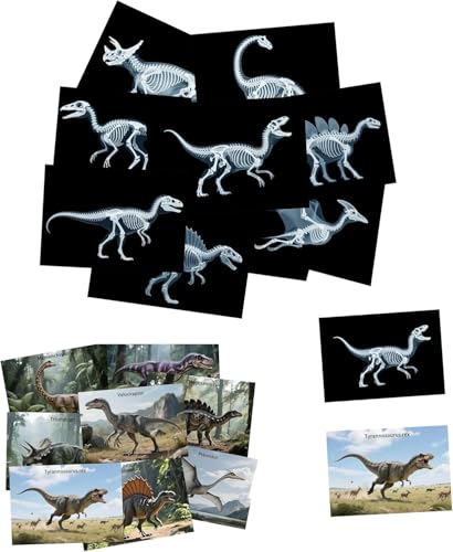 16 Animal X-Ray Set, Educational Science Kit for Kids to Explore Bone Structures for Lightstand Accessories, Light and Shadow Areas (Dinosaur Series) - color: White