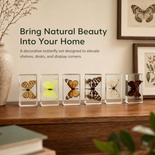 6pcs Real Butterfly Specimen,Taxidermy Butterfly Collection in Resin - color: 6Pcs Butterfly Specimen