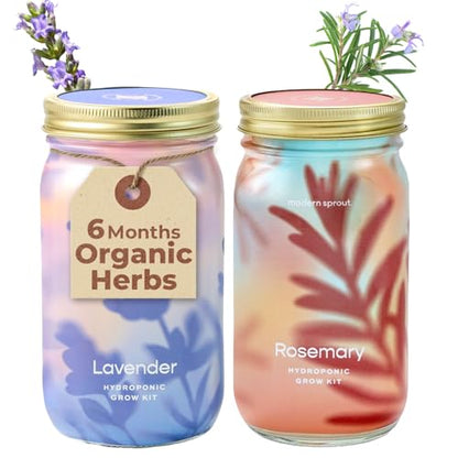 Modern Sprout Mason Garden Jar-Self-Watering Kit - Lavender+Rosemary - color: Lavender+rosemary, size: Garden Jars