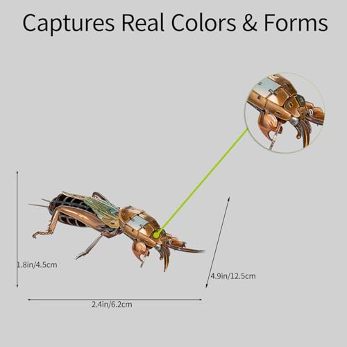 3D Acrylic Insect Puzzle DIY Bug Model Kit Animal STEM Gift - color: Mole Cricket