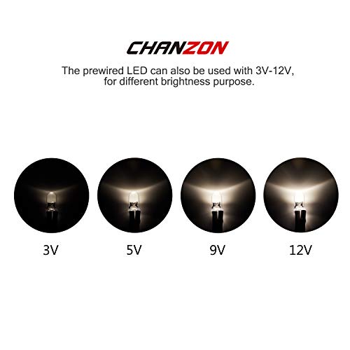 CHANZON 20 pcs Pre-Wired 5mm Warm White LED Diode Lights (DC 12V) - color: J) Warm-white (20pcs)