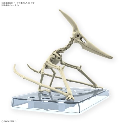 Bandai Hobby PLANNOSAURUS Pteranodon Model Making Kit - Detailed Flying Dinosaur Model Kit - DIY Simple Assembly, Collectible Action Figure - 1:32 Scale Model with Accessories