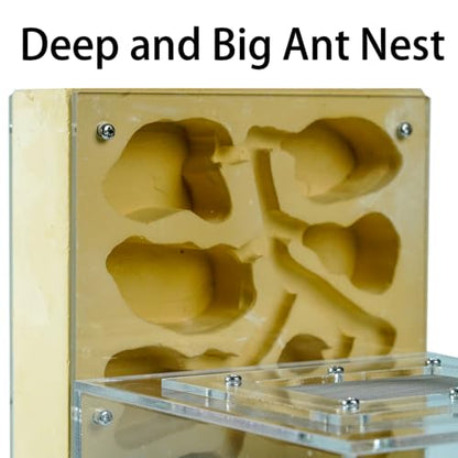 Cave Tower Plaster Ant Farm with Outworld and 10 mm Ports