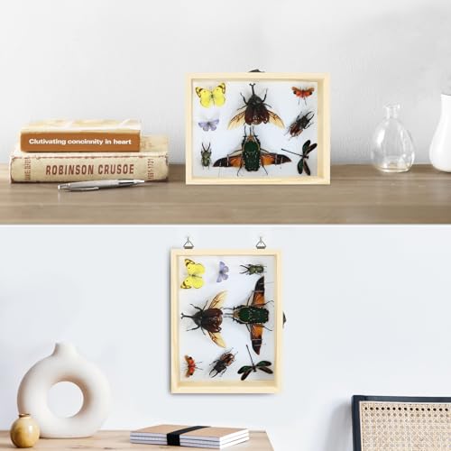 Making Insect Specimen Tools Kit - Insect Pins, Shadow Box, Pinning Board, Wings Pressing Paper, Tweezers, Scissors - Collection Display for Bug Hobbyists/Biology Projects