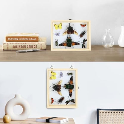 Making Insect Specimen Tools Kit - Insect Pins, Shadow Box, Pinning Board, Wings Pressing Paper, Tweezers, Scissors - Collection Display for Bug Hobbyists/Biology Projects