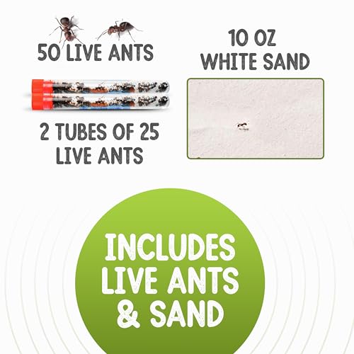 50 Live Ants for Ant Farms (2 Tubes) with 10 oz Ant Farm Sand Refill - style: 50 Live Ants+Sand