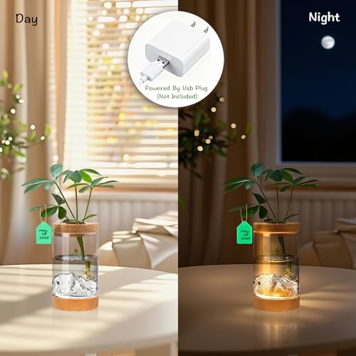 2Pcs Plant Propagation Station, Wooden Base with Lighting