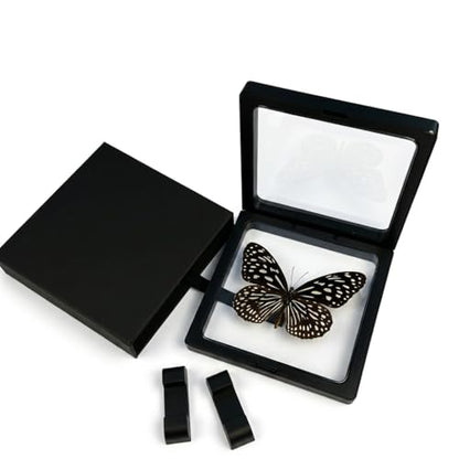 1pc 3D Suspension Frame with Real Butterfly Specimen Protective PE Film Box Creative Home Decor Collectible (Tirumala limniace Butterfly) - color: Tirumala Limniace Butterfly