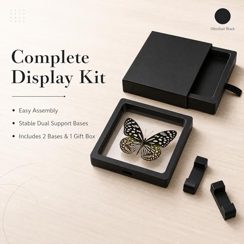 1pc 3D Suspension Frame with Real Butterfly Specimen Protective PE Film Box Creative Home Decor Collectible (Tirumala limniace Butterfly) - color: Tirumala Limniace Butterfly
