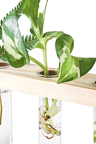 Mkono Plant Propagation Station, 3 Tier Beige Wall Hanging Vase Test Tubes - color: Beige, size: Medium