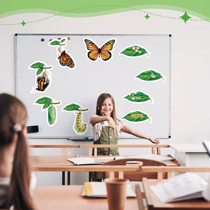 Relaxweex 9 Pcs Magnetic Butterfly Life Cycle Toys for Kid Caterpillar to Monarch Butterfly Growth Cycle Toy Insect Figures for Kids Education Preschool Classroom Insect Themed Teaching Tools Supplies