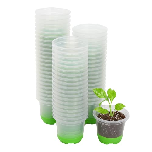 MIXC Clear Nursery Pots with Silicone Base, 4-Inch, 60-Pack - color: Green, size: 4 Inch-60Pcs
