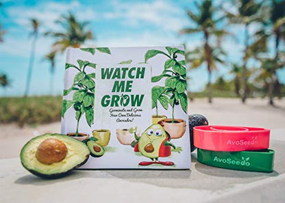 Avocado Plant Kit – Kids Grow Your Own Avocado, Watch Me Grow Kit, Family Project Kit, Grow Avocado, Great For Kids And Adults, Watch Me Grow Book Included